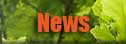 News and Events
